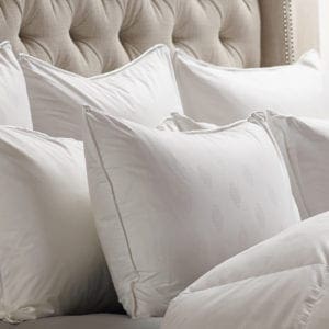 Kingsley DOWN pillows Kingsley Collection Sleeping Pillow