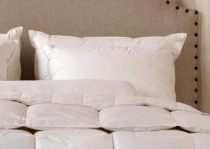 Down to Earth Organic pillow