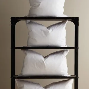 Sham Fillers & Oversized Pillows