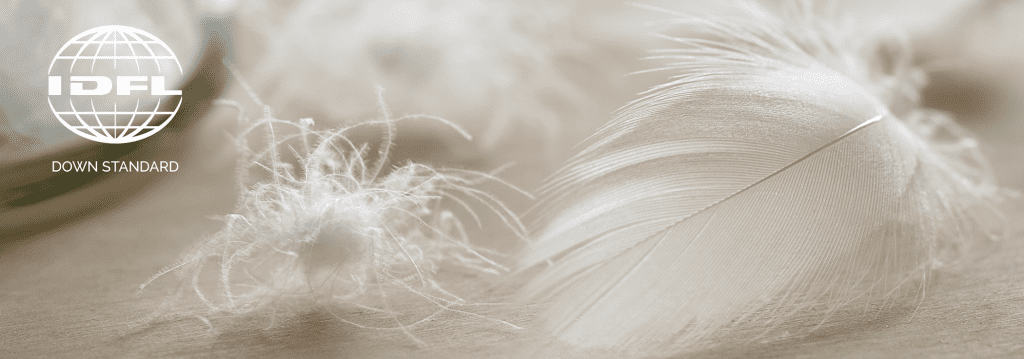 Feather banner | DOWN inc. Feather banner
