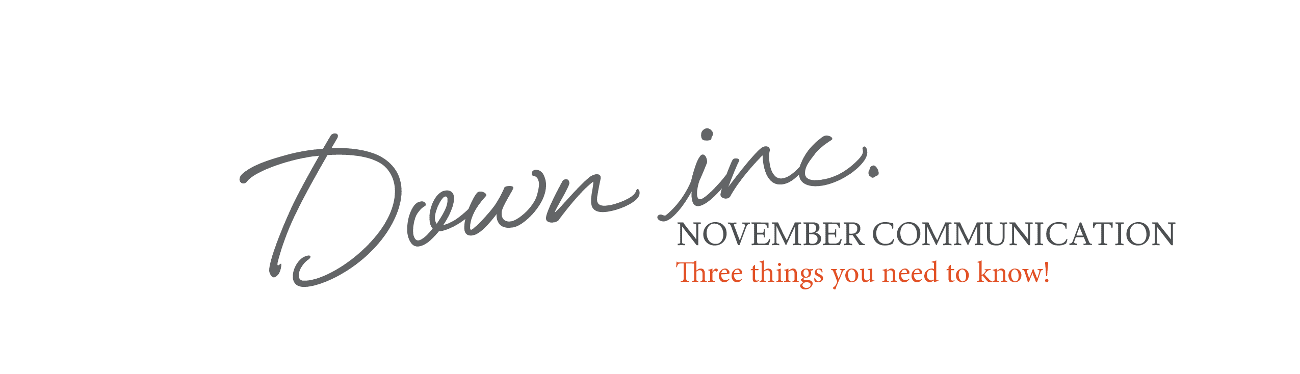 NOVEMBER - Sales Rep Newsletter Down Inc.