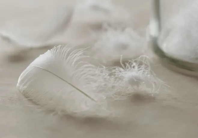 down and feather