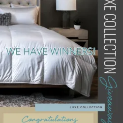 luxe winners-instagram