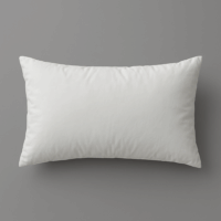 Rectangle Decorative Pillow Insert