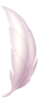 Pearl Feather Rewards