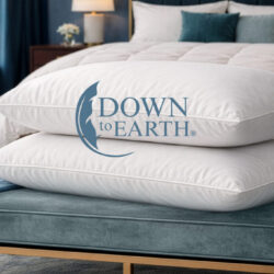 Organic cotton all natural pillows- Down to Earth